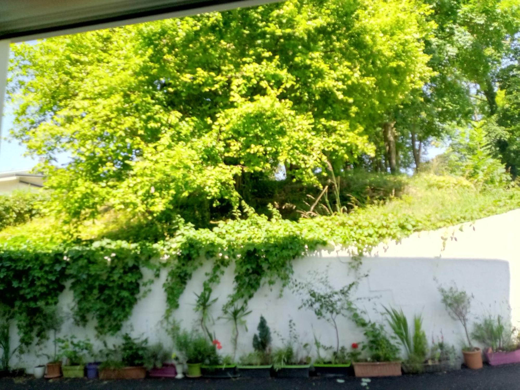 Appartamento Arc En Ciel Et Cle Des Champs Contrexéville
